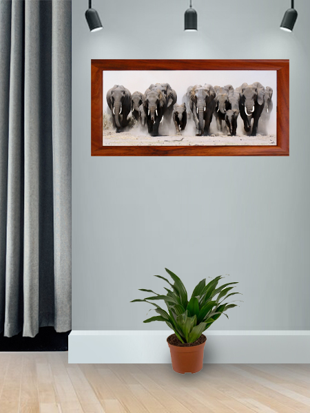 Clip on Fiber Frame